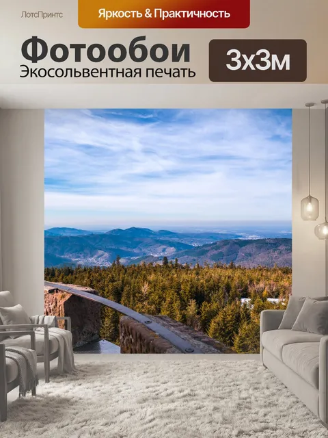 Фотообои Черный лес