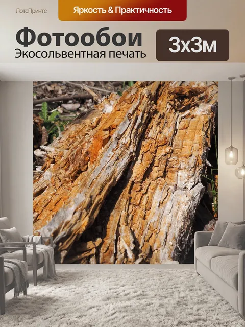 Фотообои Древесина