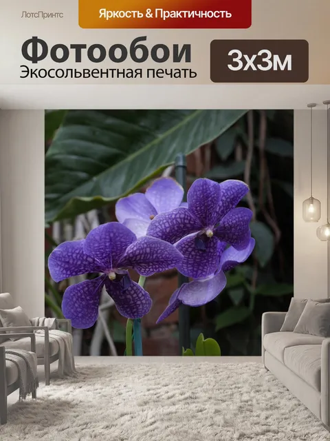Фотообои Орхидеи