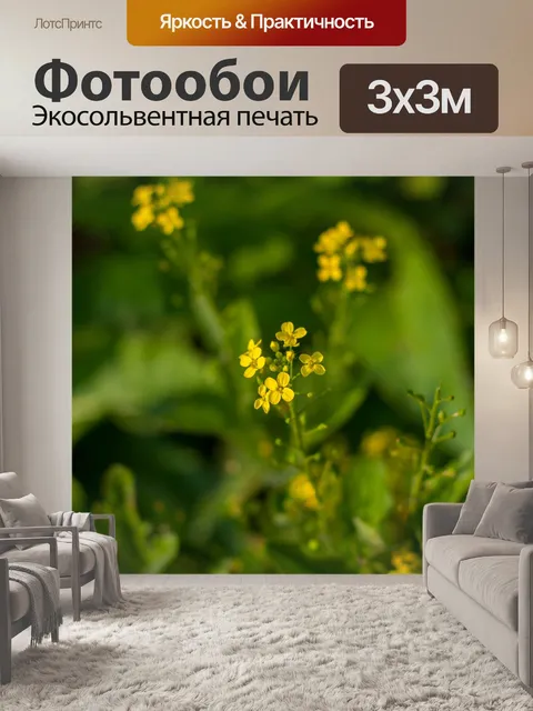 Фотообои Цветы