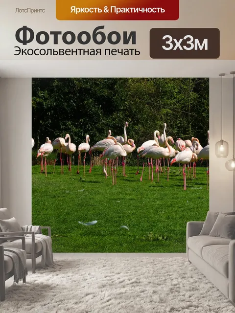 Фотообои Фламинго
