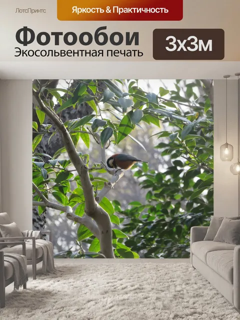 Фотообои Птица