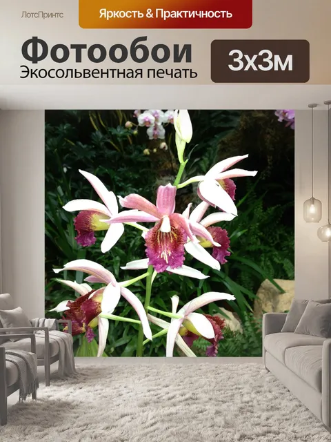 Фотообои Нежные цветы