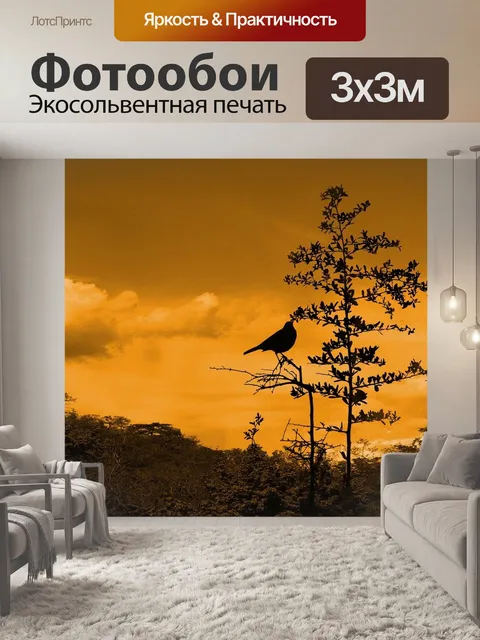 Фотообои Птицы