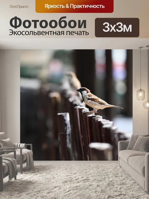 Фотообои Птица