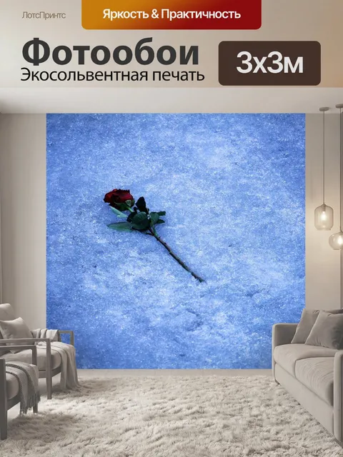 Фотообои Роза