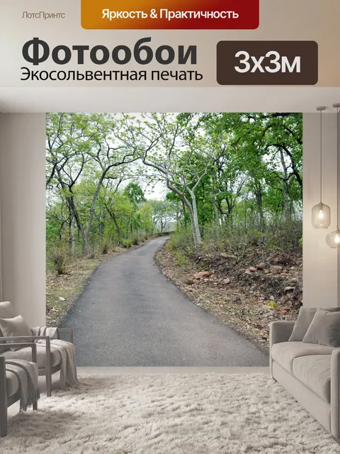 Фотообои Пустынная дорога