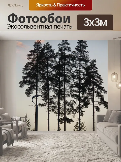 Фотообои Силуэт