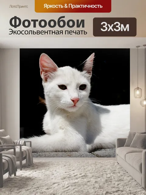 Фотообои Милый
