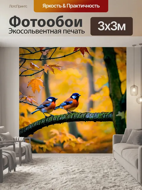Фотообои осень — утренние серенады птиц в тишине леса