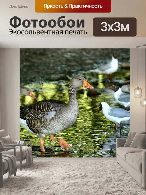Фотообои Гусь