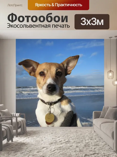 Фотообои Собака