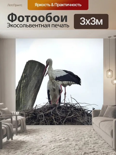 Фотообои Птица