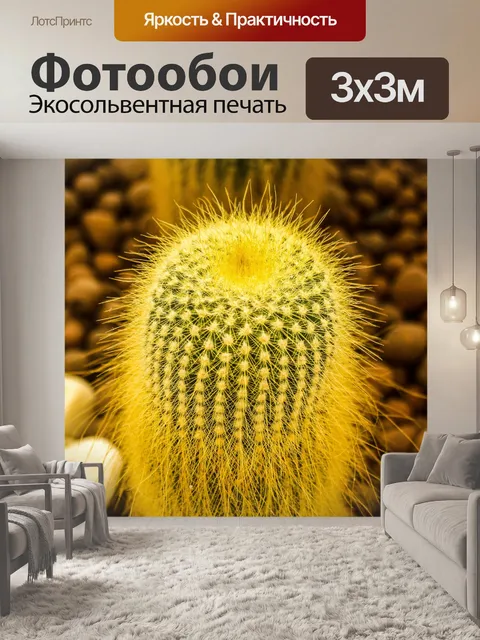 Фотообои Кактус пустынное растение