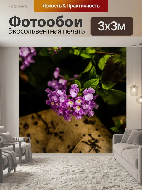 Фотообои Цветы