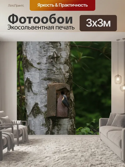 Фотообои Дерево