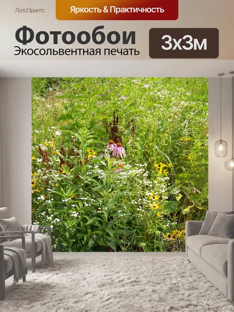 Фотообои Полевые цветы