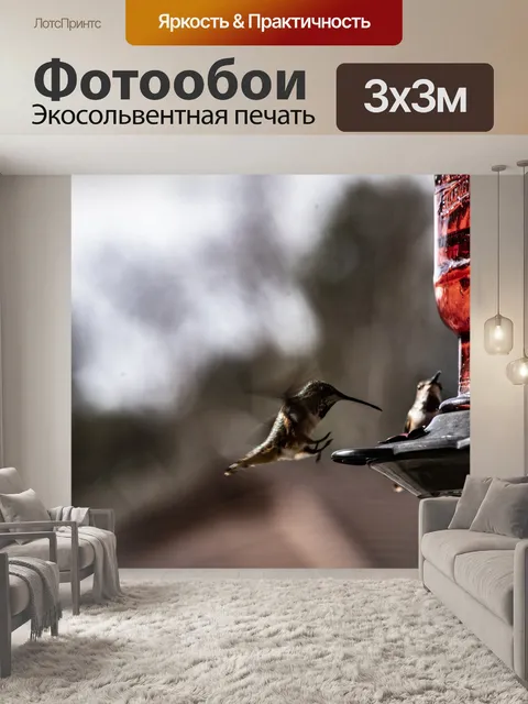 Фотообои Посадка Колибри