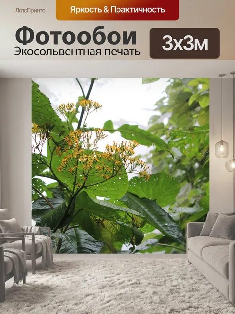Фотообои Желтый цветок