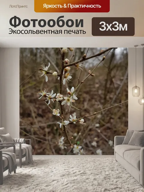 Фотообои Дерево