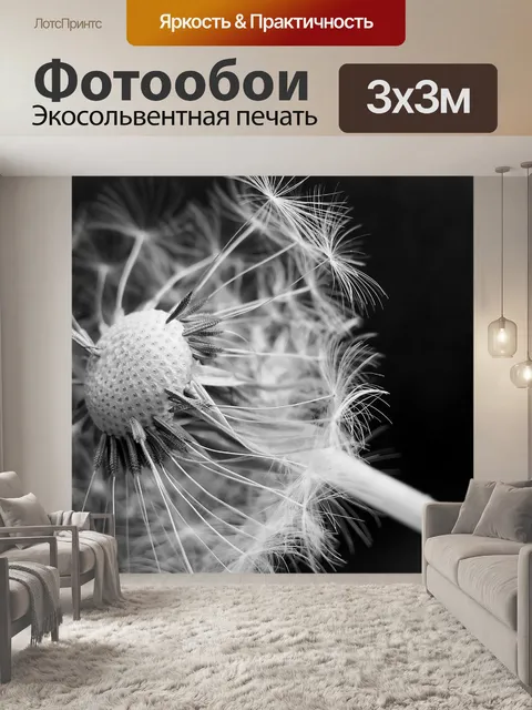 Фотообои Одуванчик