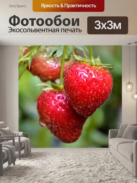 Фотообои Плоды