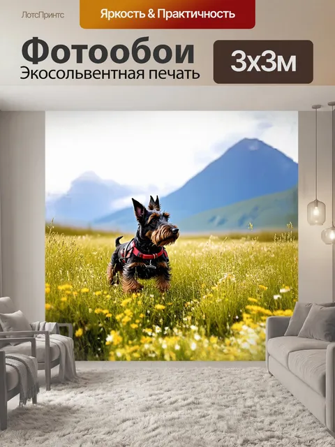 Фотообои шотландский терьер, исполняющий свою роль охотника, искусно прячется среди высоких трав и диких цветов на…