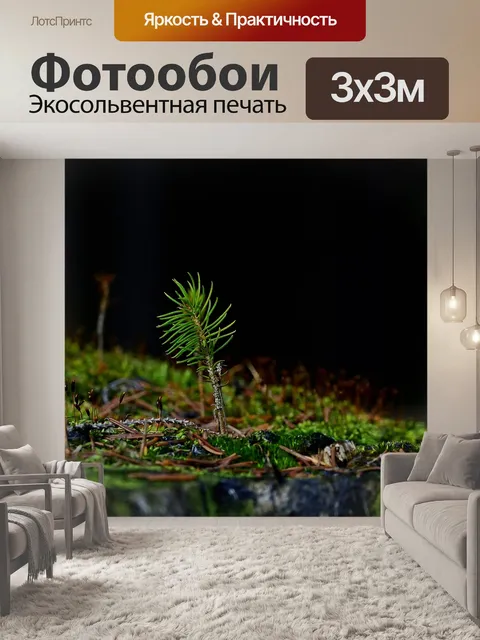 Фотообои Лес