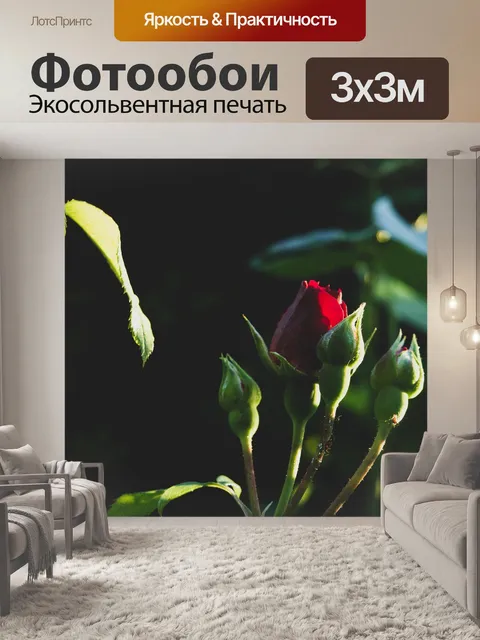 Фотообои Розовый