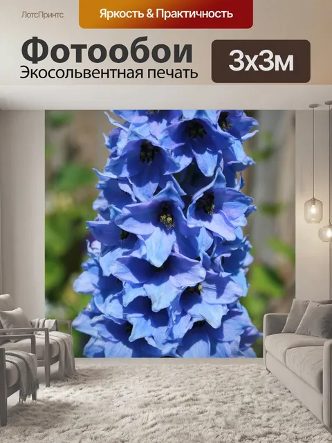 Фотообои Blue Дельфиниум