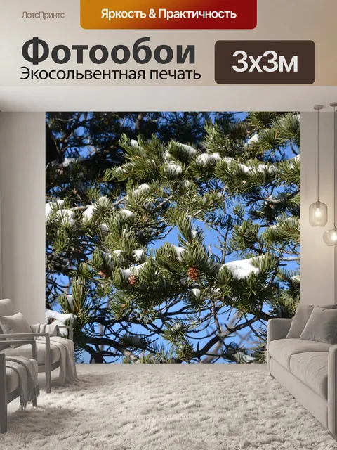 Фотообои Снег на ветвях