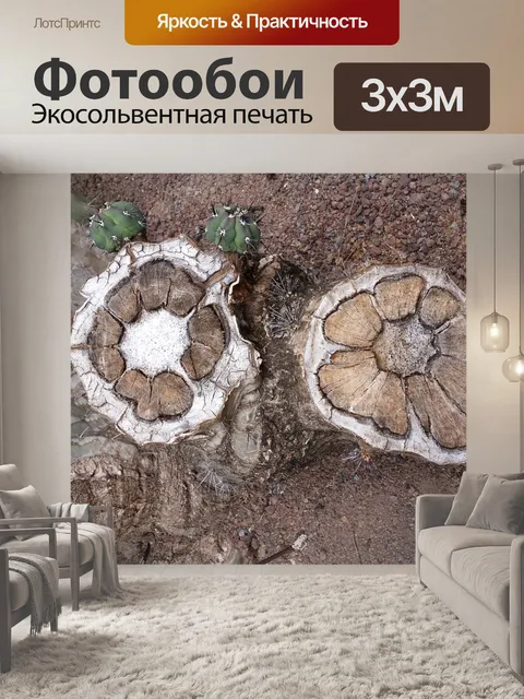 Фотообои Кактус