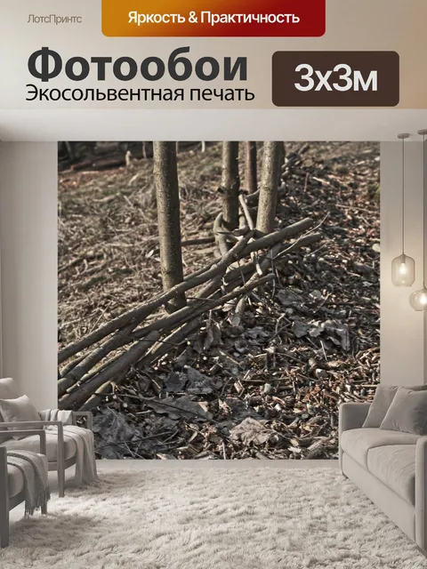 Фотообои Дорожка
