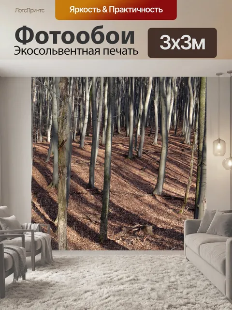 Фотообои Лес