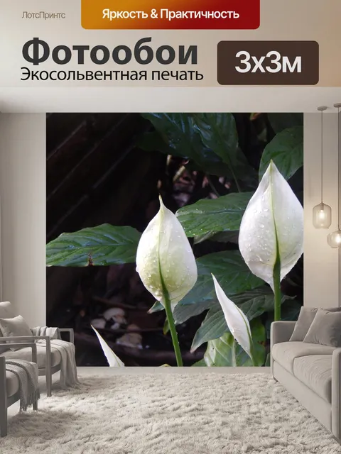 Фотообои Цветы