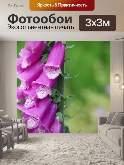 Фотообои Цветы