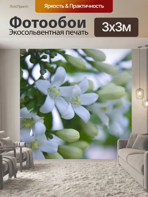 Фотообои Белые маленькие цветы 7