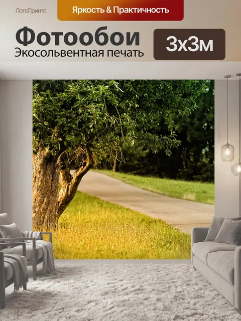 Фотообои Деревья
