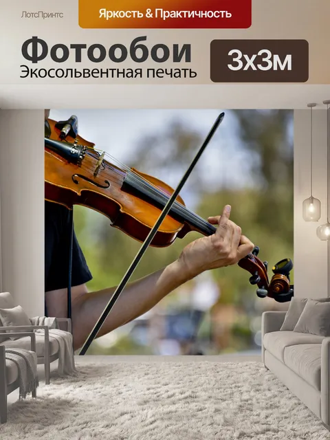 Фотообои Скрипач играет на открытом воздухе