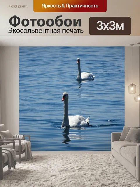 Фотообои Лебеди