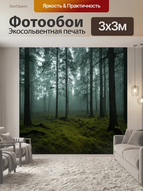Фотообои старый лес в туман, загадочные звуки и силуэты деревьев