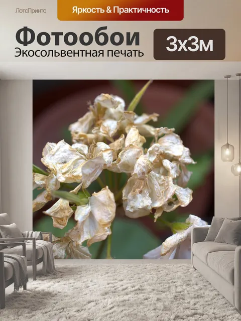 Фотообои Цветы