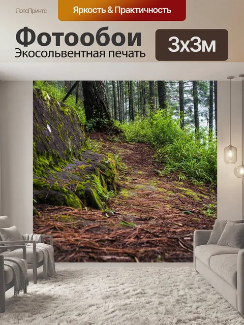 Фотообои Дорожка