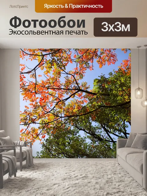 Фотообои Осенние листья