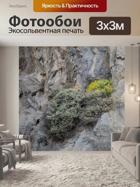 Фотообои цветы, растущие из скалы