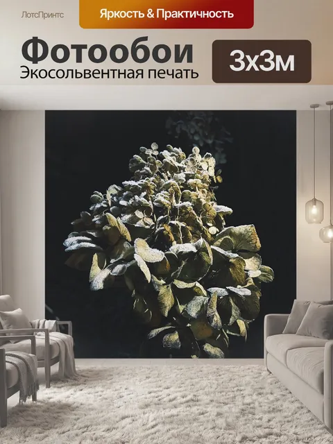 Фотообои Цветок