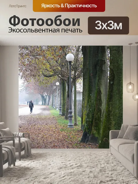 Фотообои Деревья