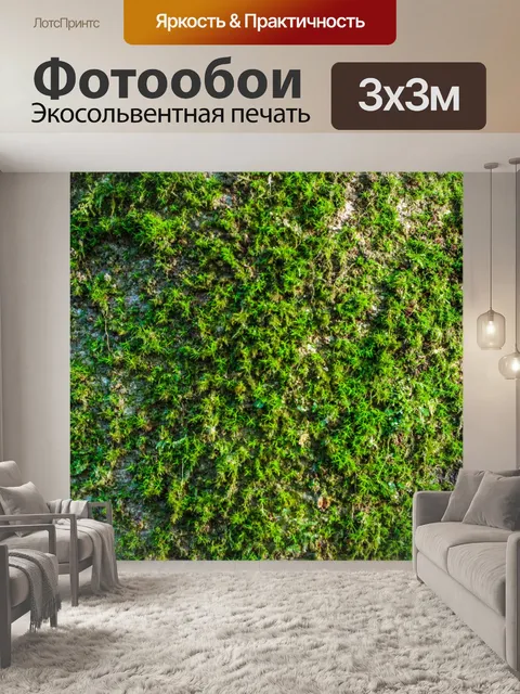 Фотообои Тропический лес в Дои Интанон, Чиангмай