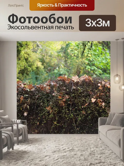 Фотообои Осень