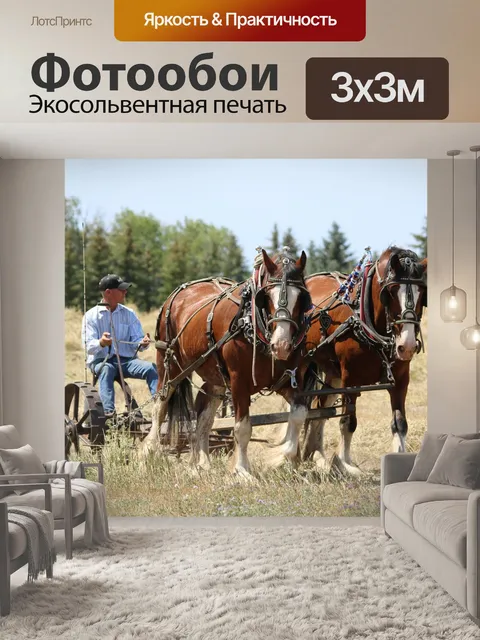 Фотообои Лошади